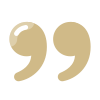 icons8-quote-100 (1).png