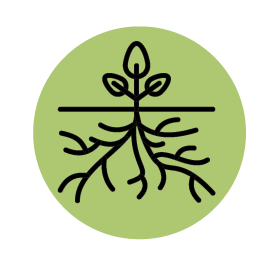 icon-root-green-circle.gif