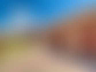 How Long Do Paver Driveways Last Compared To Other Options?