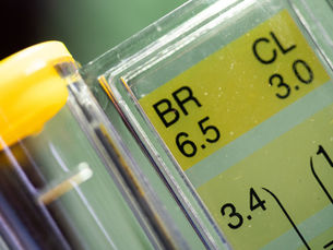 Why Every Pool Installation Needs a Professional Inspection