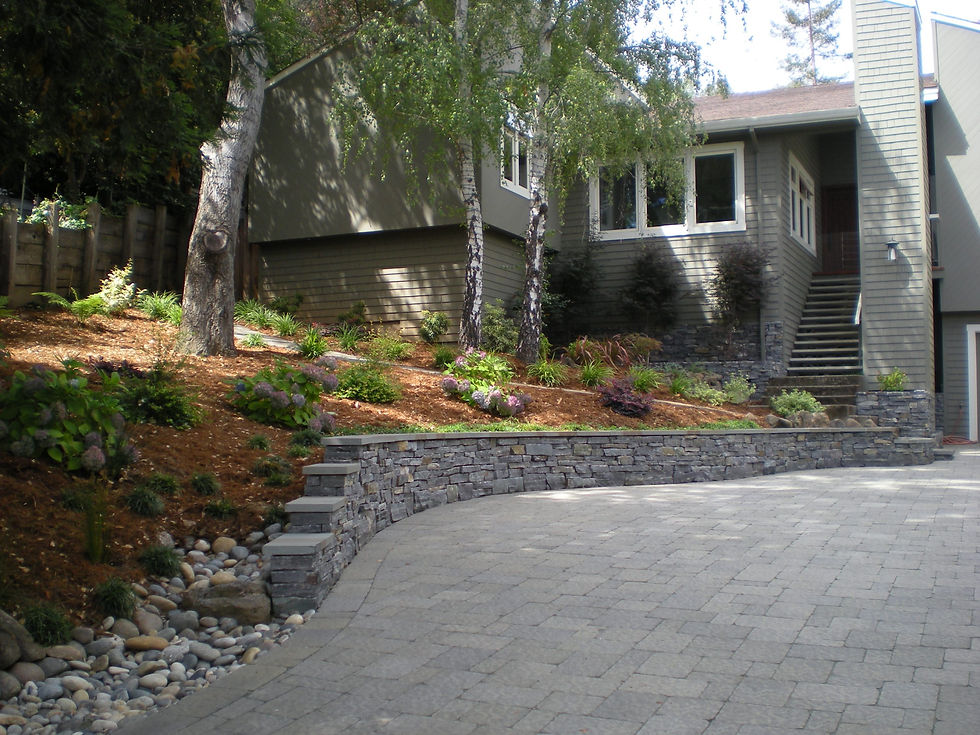 House with paved driveway