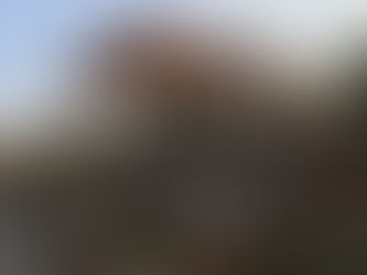 Which Type Of Retaining Walls Is Right For Your Landscape: Stone, Concrete, Or Timber?