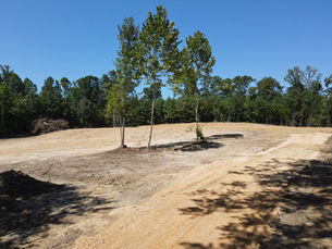 Site Prep 101: What Happens Before Landscaping Begins