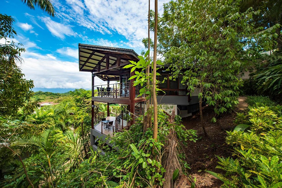 Thumbnail: Tulemar Resort - 🇨🇷