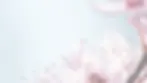 Page-1-Background.webp