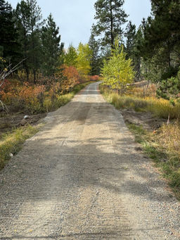 Road Building
