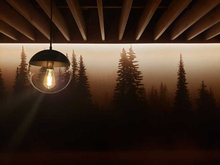 bow-and-marrow-tree-light.jpg