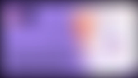 Wixify Studio Becomes a Wix Studio Certified Web Design Studio