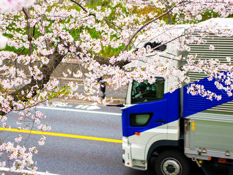 桜の横を走っているトラック