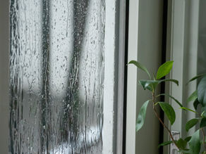 雨が多い季節にこそ見直したい！物件の「換気」と「清掃」