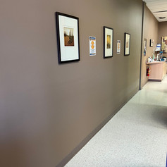 The passageway in the clinic