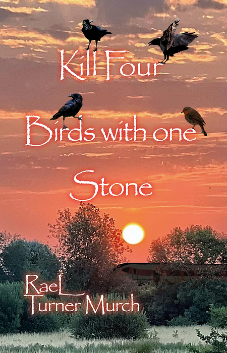 Kill Four Birds with One Stone by Rae L Turner Murch