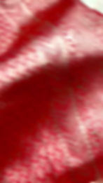 Thumbnail: Banarsi jari work saree