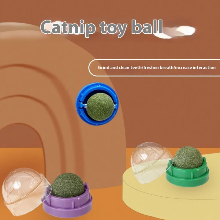 Thumbnail: Catnip Ball Cat Toy