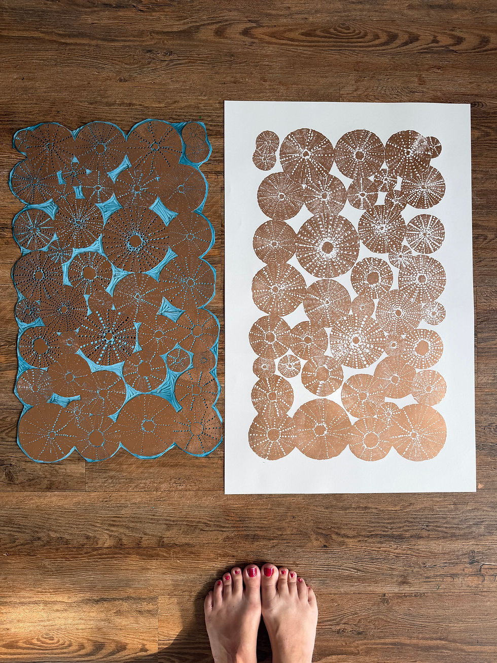 Thumbnail: Sea Urchin Shells Linocut Art Print 