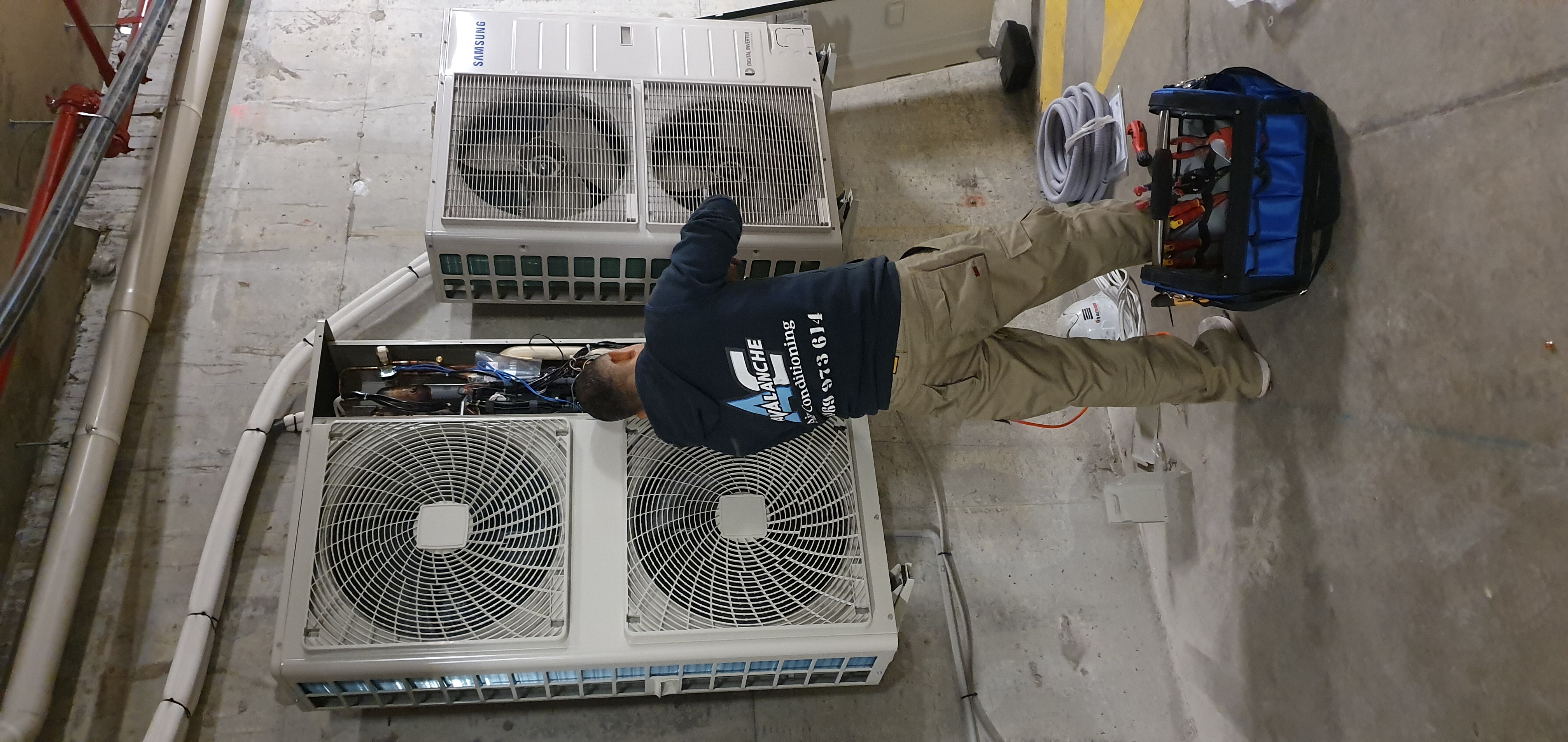 Boulevard Barbers - Outdoor plant