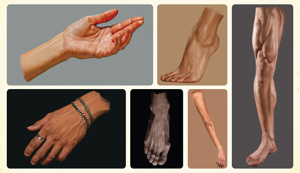 Hand & Feet Studies