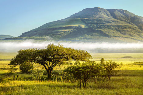Landschaftsaufnahme einer südafrikanischen Landschaft für die Abei Münsterschwarzach.