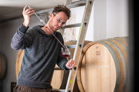 Fotoshooting vom Kellermeister der Winzergenossenschaft Vinum Autmundis bei der Arbeit im Fassweinkeller. 