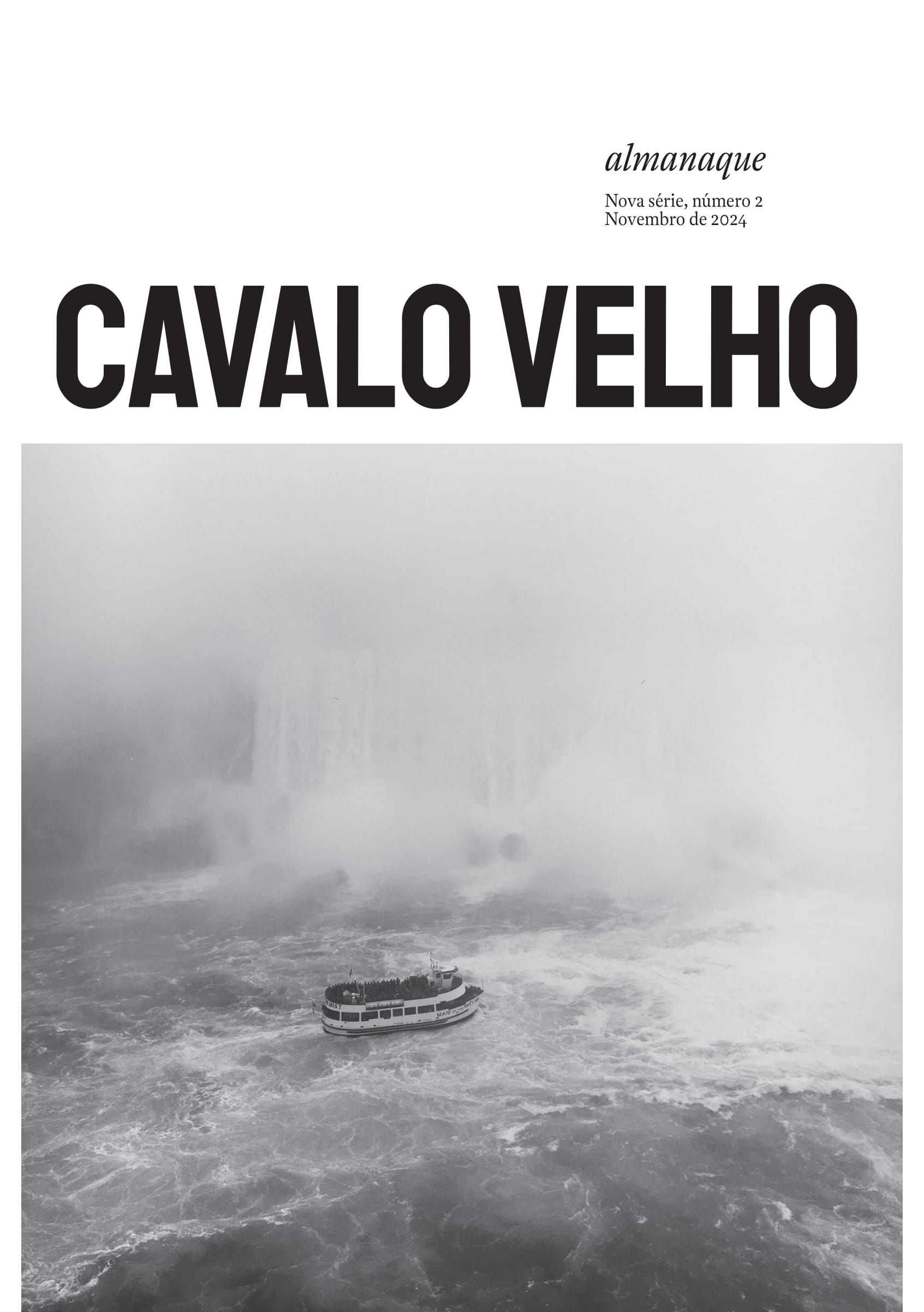 Cavalo Velho #2