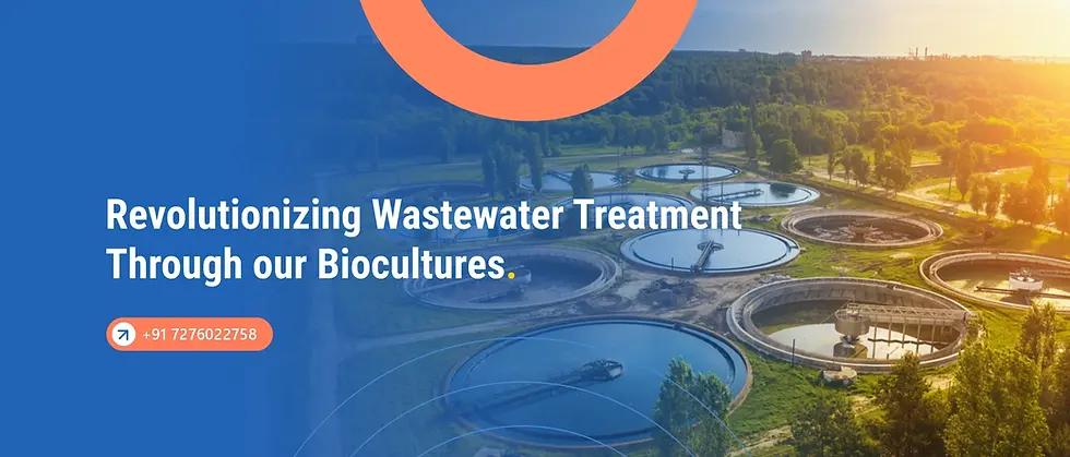 DESCALING LIQUID | Amalgam Biotech