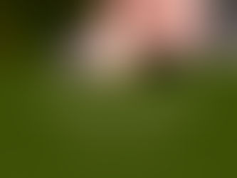 Pai que Educa com Amor e Propósito 