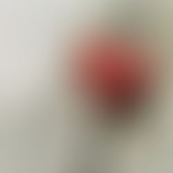 Dia Nacional dos Avós