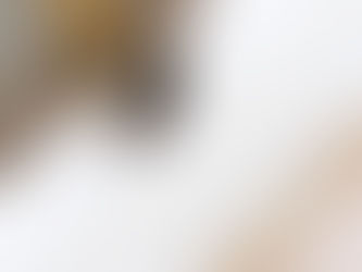 Presente em forma de borboleta 