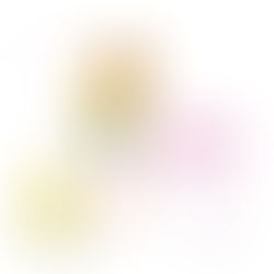 9.a edição da Formação em Coaching Educativo