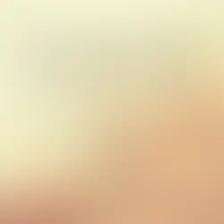 5. Estabelecer limites e encontrar possíveis soluções