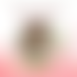 Sabes quais são os valores da tua família?