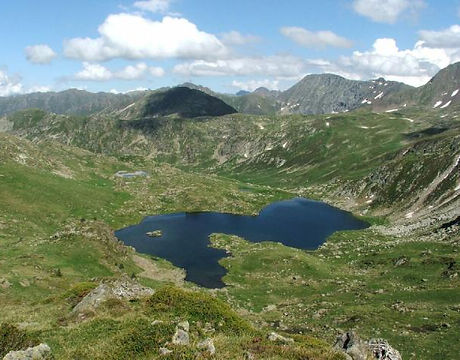DSCF0156.jpg