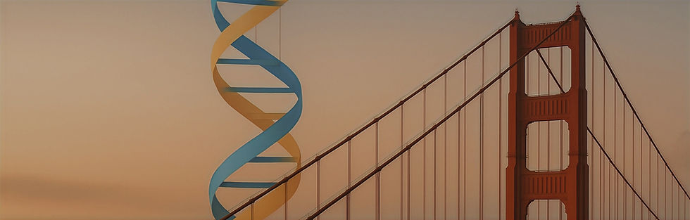 Copy of LSHO Main Site Header 2 (1888 x 602 px)_edited.jpg