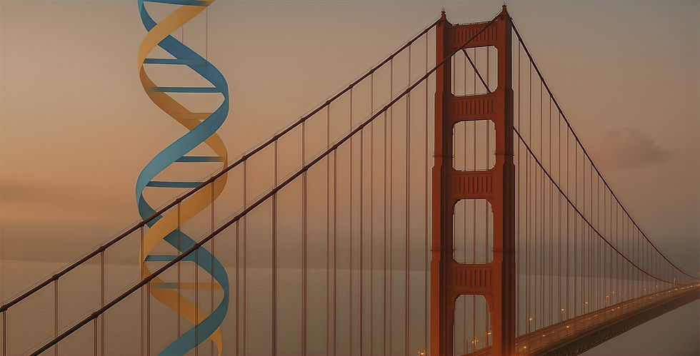 Copy of LSHO Main Site Header 2 (1)_edited.jpg