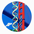 LifeSpan Health Optimization New (Logo).png