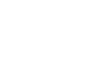 swan-03.png