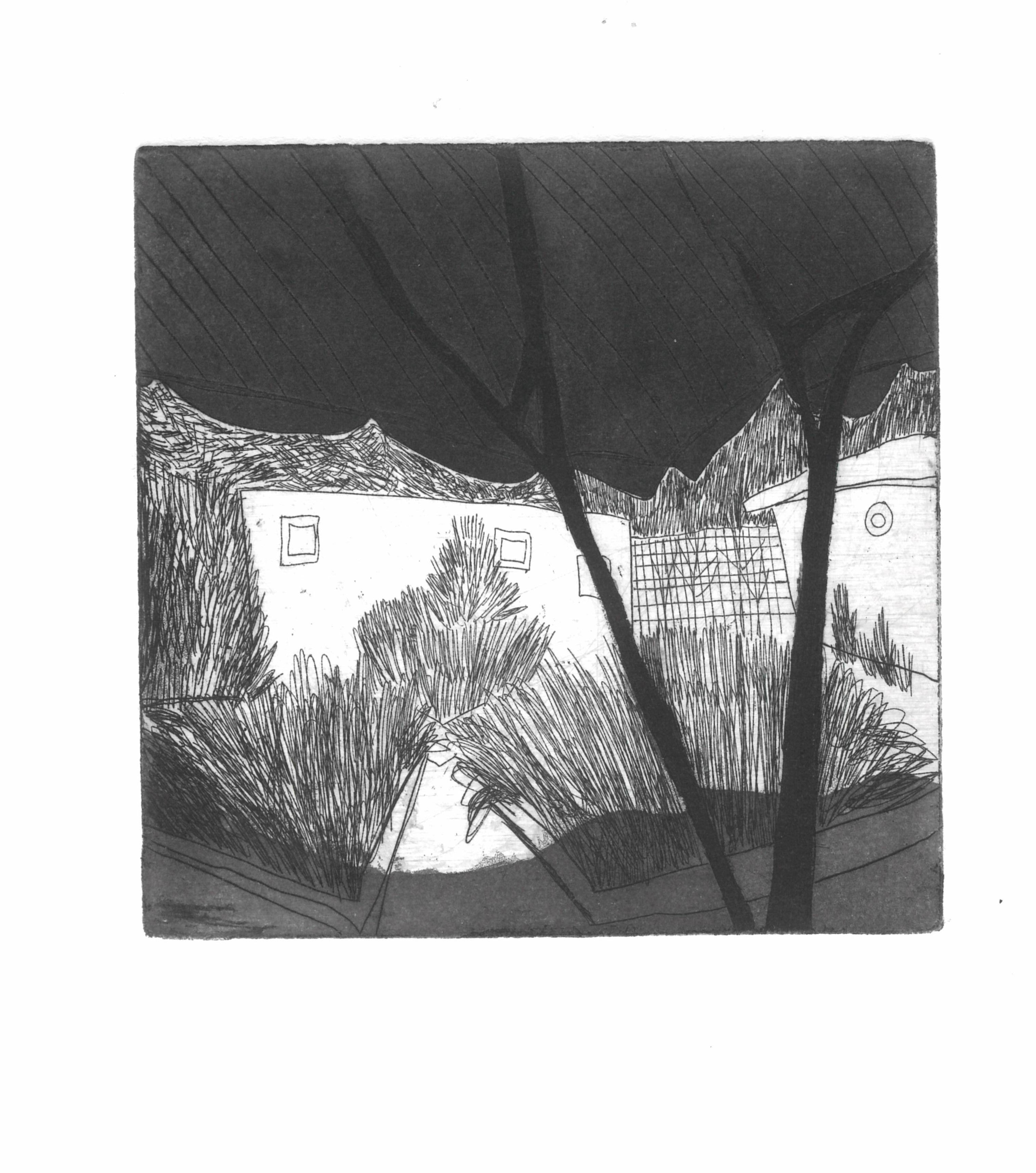 Karl Zheng  - Garden in Yard