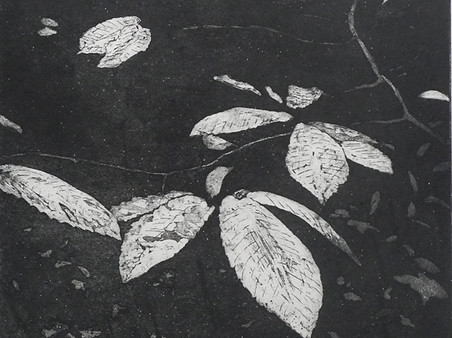 Chestnut Leaves.jpg