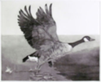 Take off