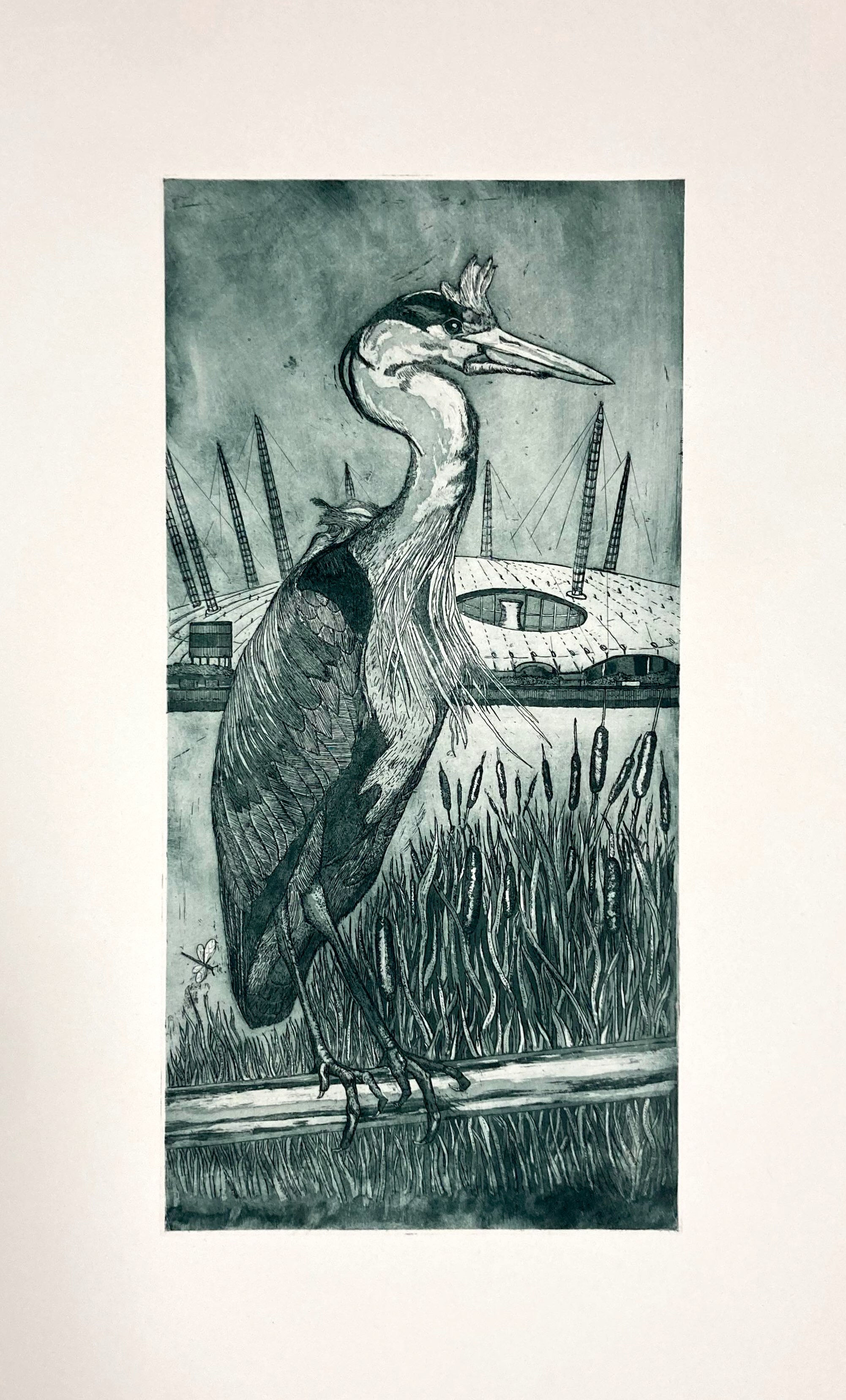 Tim Mitchell - Heron O2