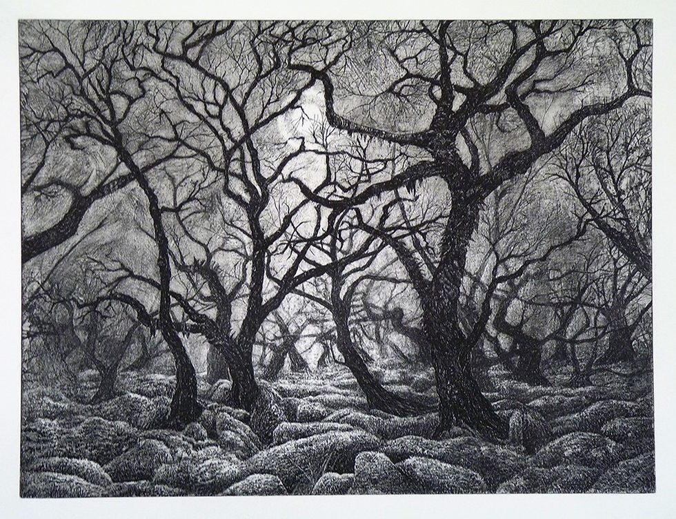 Kevin Wright - Dartmoor, Mystical Wistman’s Wood