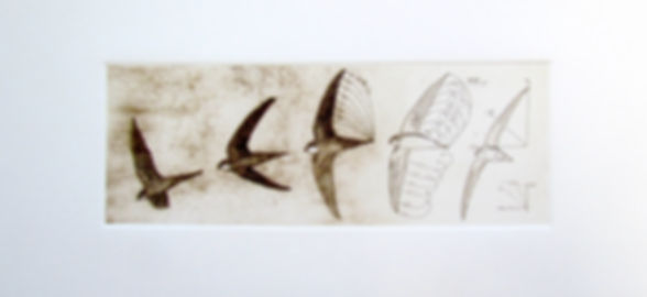 Swift uplift