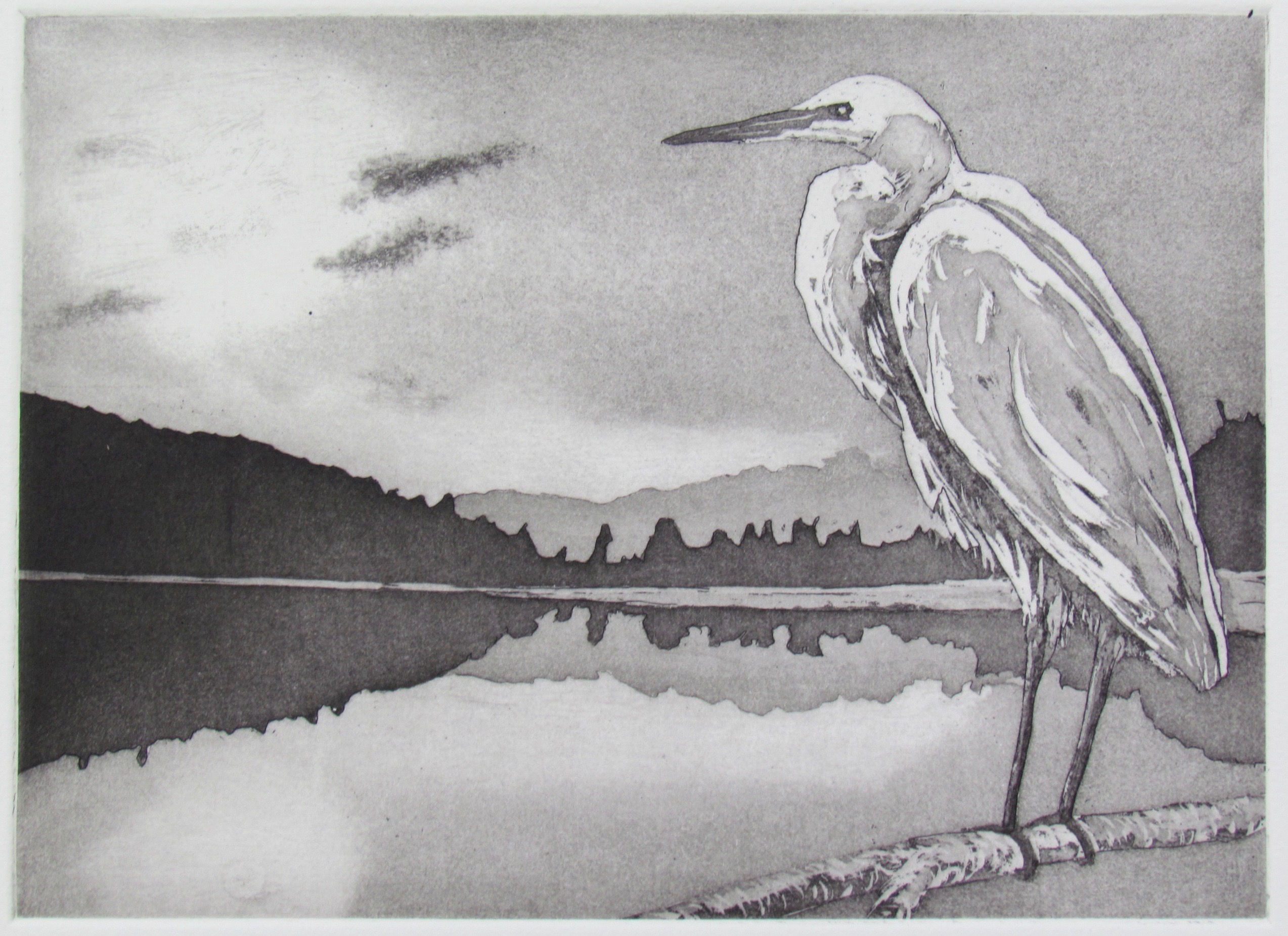 Tim Mitchell - Night watch