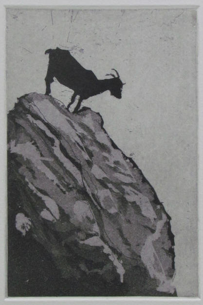 Pico de Europa cabra