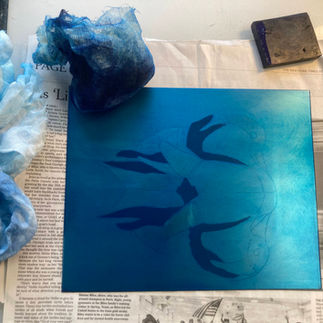A plate for Tim's Mandarin Duck etching inked in cyan