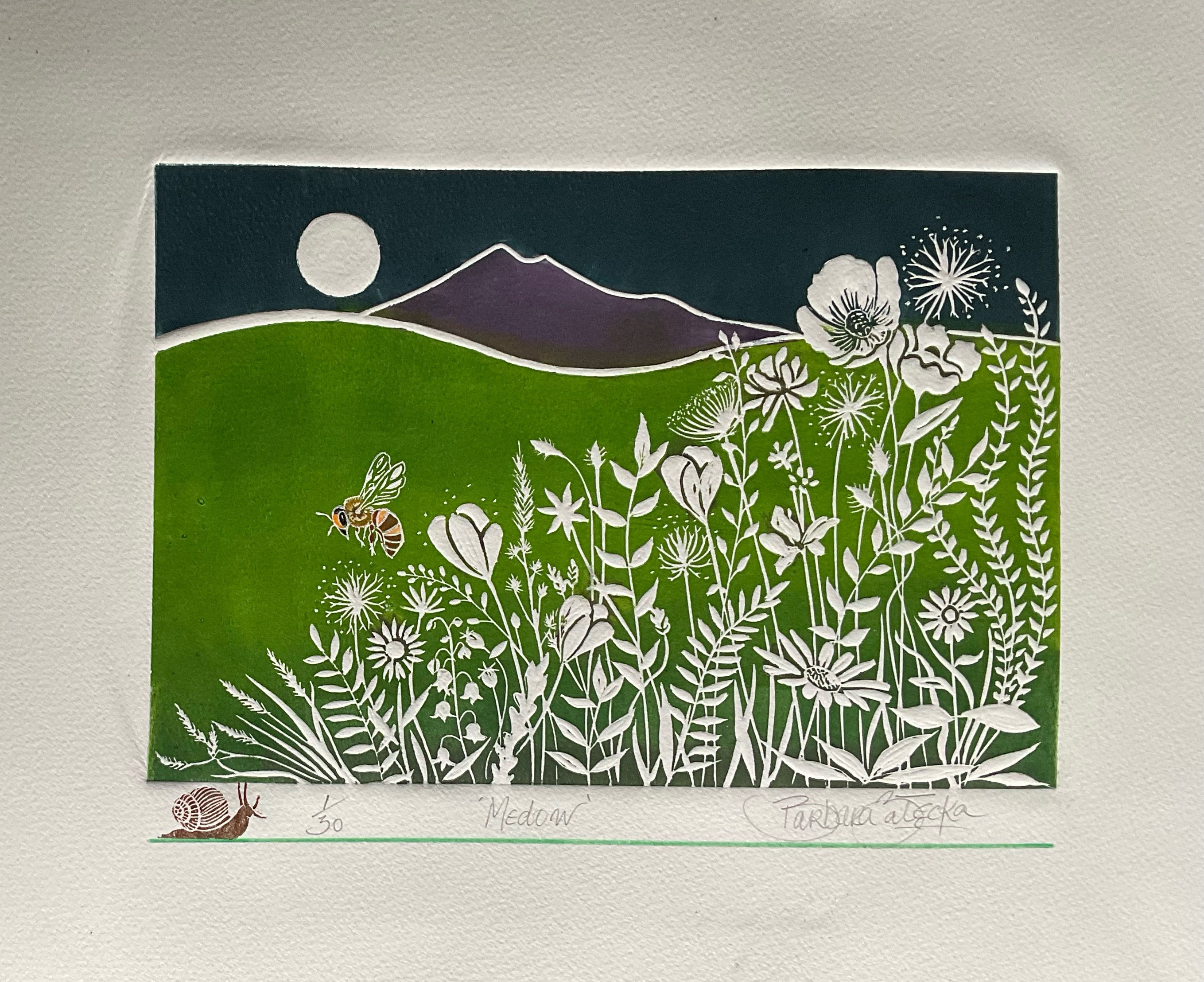 Barbara Zalecki - Meadow