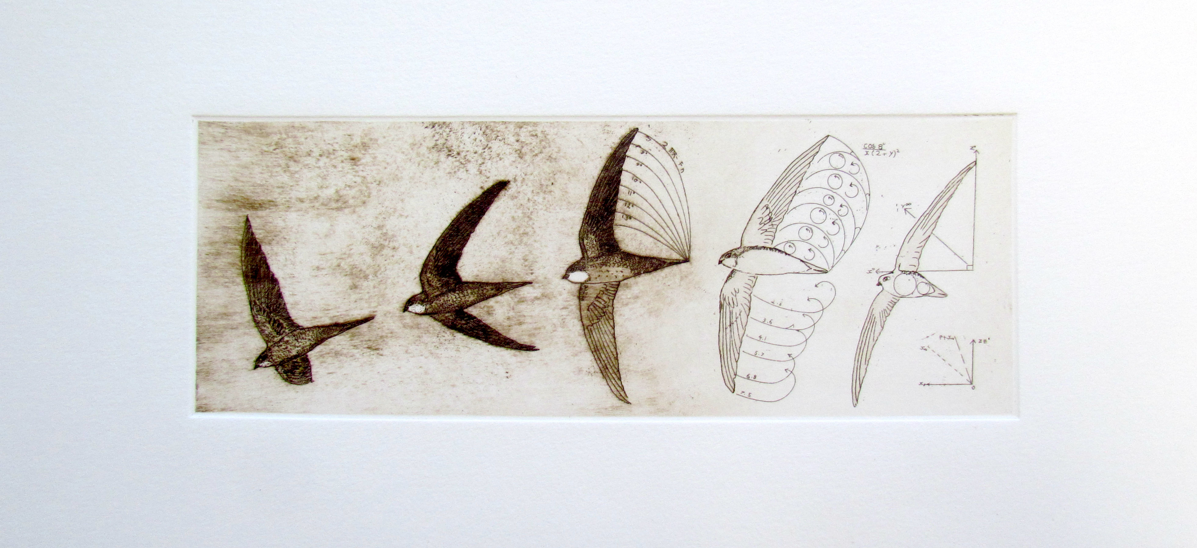 Tim Mitchell - Swift Uplift