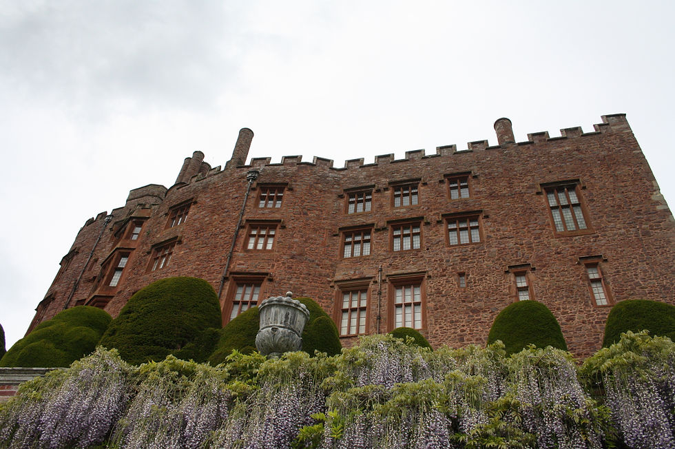 A Castle to remember