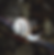Thumbnail: In the Beginning God Created the Animals - The Creeping Things