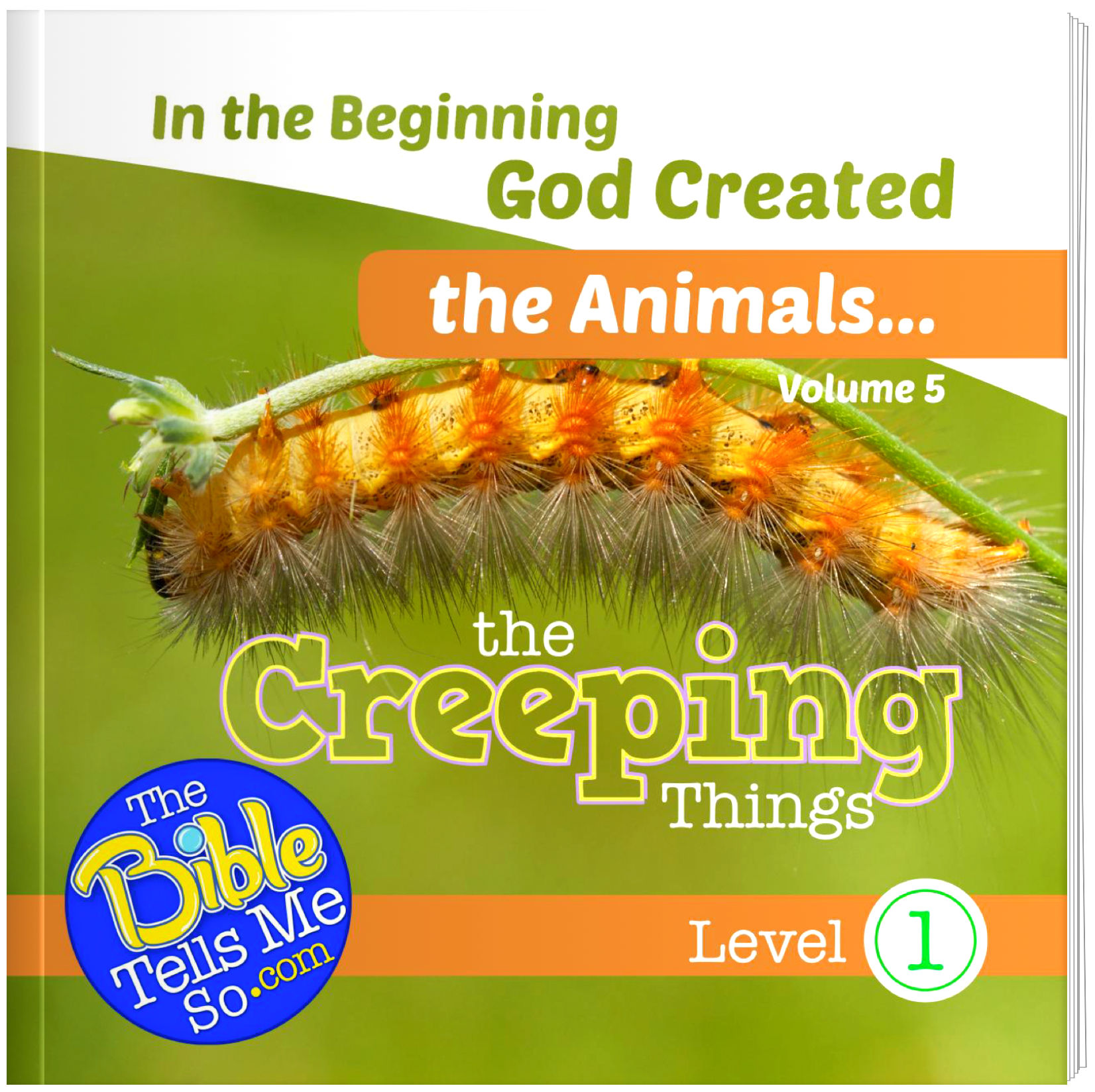 In the Beginning God Created the Animals - The Creeping Things